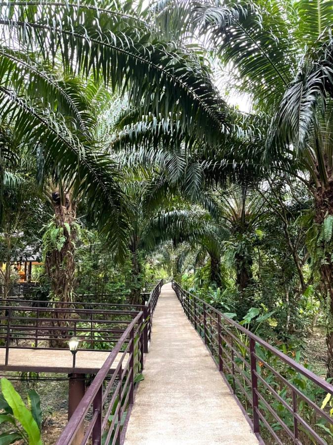 Khaosok Good View Resort - Sha Plus Khao Sok National Park Bagian luar foto